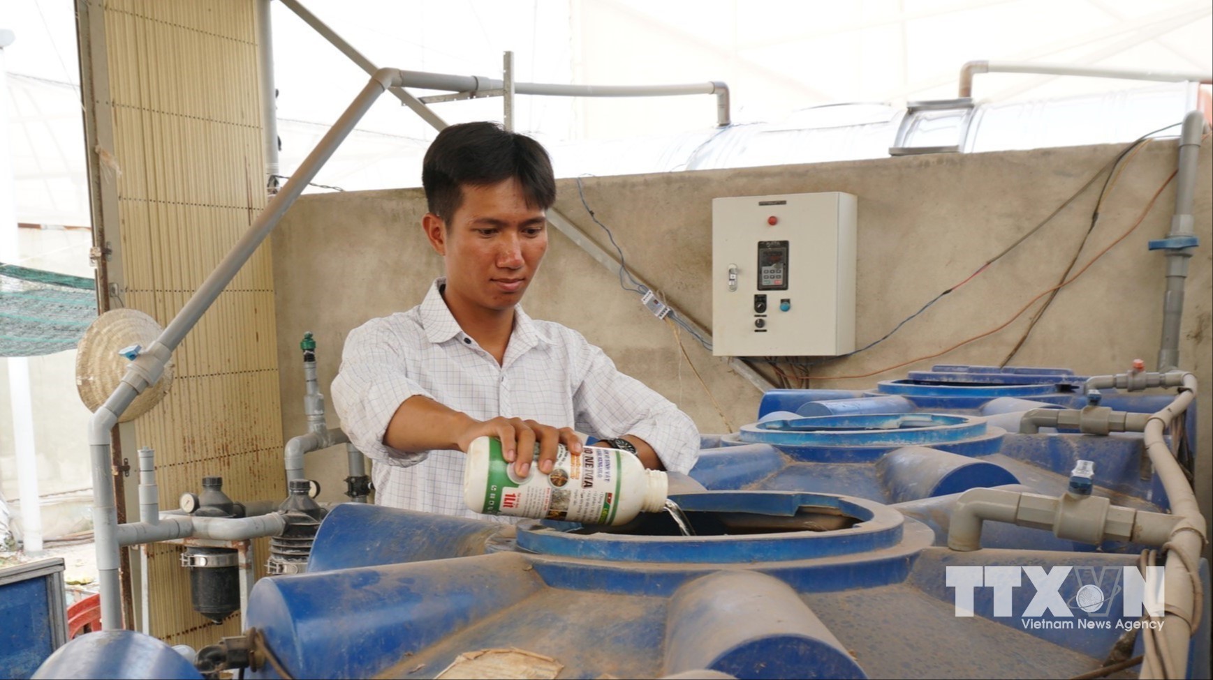 Người dân Tây Ninh dùng các chế phẩm sinh học để sử dụng cho hệ thống tưới nhỏ giọt giúp tiết kiệm nước và phân bón, giảm sâu bệnh. (Ảnh: Minh Phú/TTXVN)